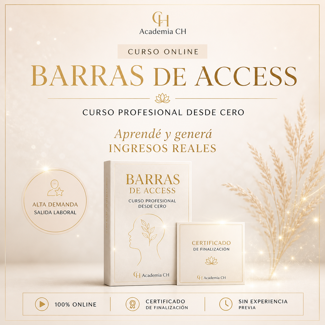 BARRAS DE ACCEESS - APRENDÉ SANÁ Y GENERA INGRESOS DESDE CERO